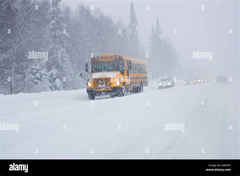 School Bus Driving In A Snowstorm With A Line Of Cars Behind In