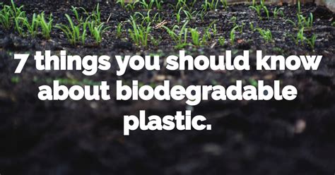 7 Things You Should Know About Biodegradable Plastic Law Print Pack