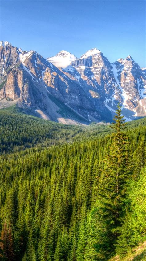 Kanada Berge Bäume Wald Blauer Himmel Banff Park 750x1334 Iphone 8