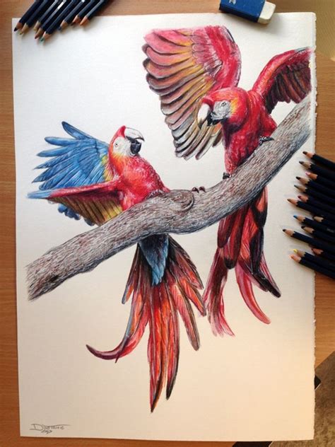 Colored Pencil Drawings Creative Drawing Ideas For Beginners With