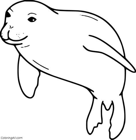 Adorable Monk Seal Coloring Pages