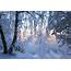 Winter Snow Landscape Nature Wallpapers HD / Desktop And Mobile 