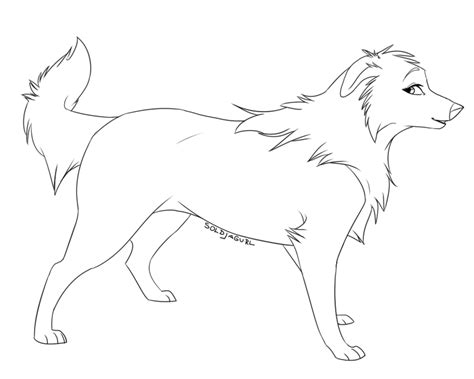 Border Collie Outline Free Printable Templates And Coloring Pages