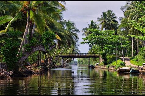 Private Tour Negombo And Surrounding Area Attractions By Boat Triphobo