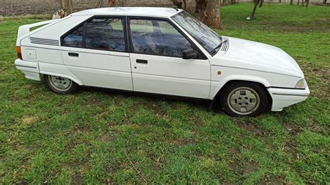 Citroen Bx Palmares 1990 Autobedrijf Exclusive