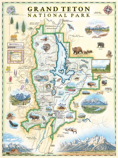 Grand Teton National Park Map Wall Art Poster Authentic Hand Drawn