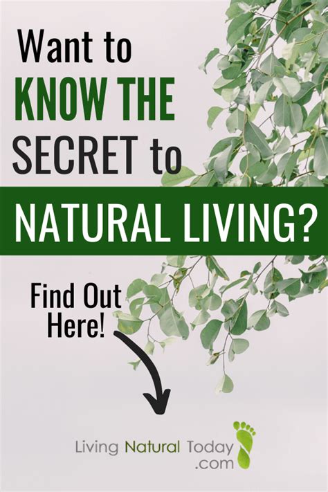 The Secret To Natural Living Natural Living Organic Recipes Green