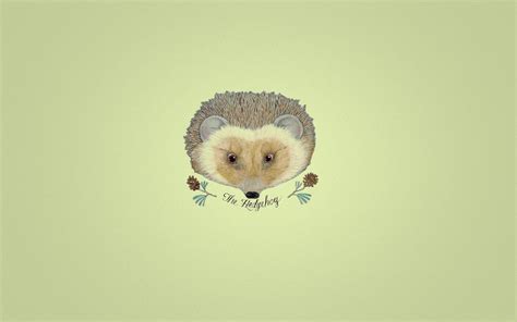 Hedgehogs Wallpapers Wallpaper Cave