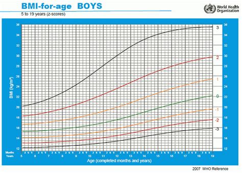 Curvas De Crecimiento Niños De 5 A 19 Años Oms Niños Relacionados