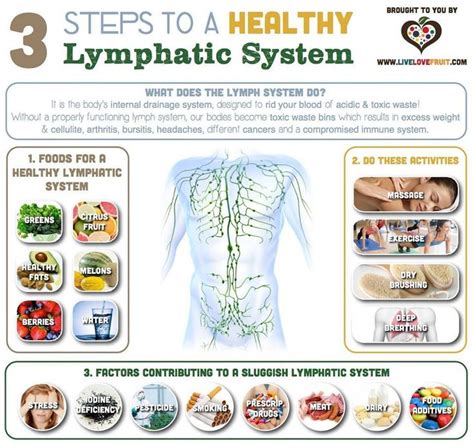 How To Move The Lymphatic System And The Life Saving Benefits Of The