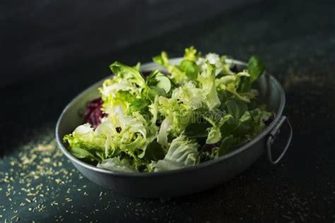 Mix Of Different Salad Leaves In A Metal Dish Stock Image Image Of