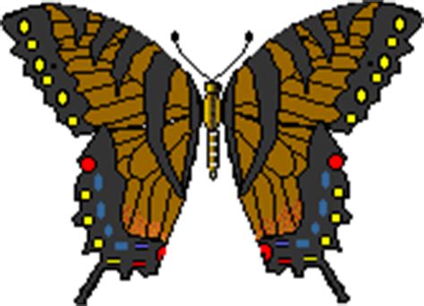 Tiger Swallowtail B Fly Enchantedlearning Com