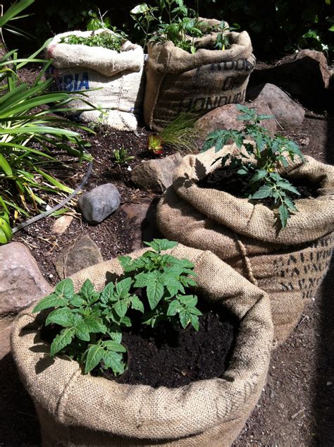 Burlap Sack Planters Burlap Sacks Garden Bags Burlap Coffee Bags