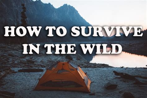 How To Survive In The Wild A Step By Step Guide For Success