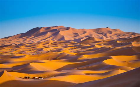 Sahara Desert 4k Wallpaper Merzouga Morocco Sand Dune Blue Sky