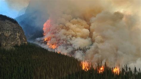 How Weather Covid 19 Spared Canada From Wildfires Like Those In The U