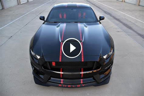 Vampire Cobra Black And Red 2016 Shelby Mustang Gt350r Custom Stripes