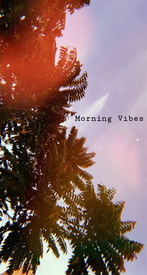 Morning Vibes Scary Wallpaper Cute Wallpaper For Phone Phone