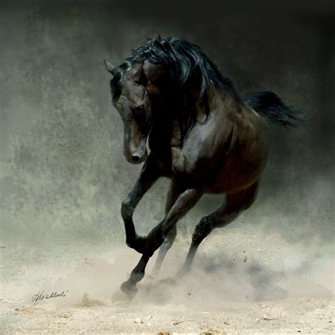 Download Amazing Dark Horse Running Okay Wallpaper By Frankk67