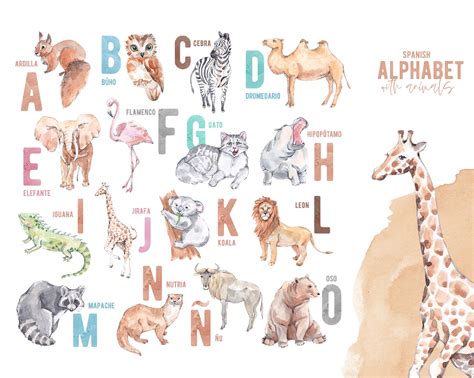 Spanish Alphabet With Animalswatercolor Animal Etsy