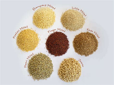 Millets All You Need To Know About These Grains Pristine Organics