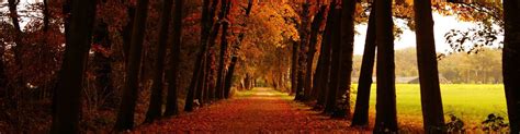 Facebook cover photo for lonely people. 21+ Beautiful Fall Pictures & Facebook Cover Photos - The ...