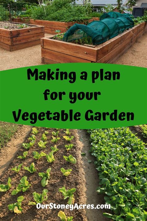 Planning Your Garden Is An Important Step That Many Gardeners Neglect