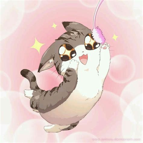 Pin De Shisuku Erashi Em Animais Anime Pet Anime Gato De Anime