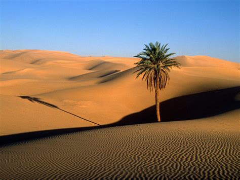 Desert Saudi Arabia Wallpapers Top Free Desert Saudi Arabia