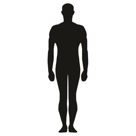 17 Human Standing Silhouette Vector Images Human Silhouette People