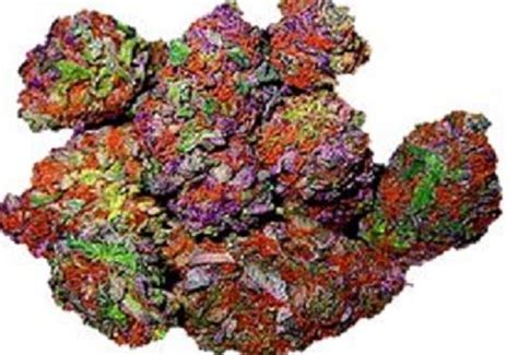 Rainbow Kush Strain For Sale Online Cannabis Frost