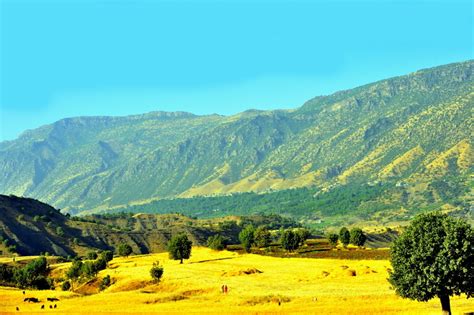 Iraq is the cradle of civilization, but today the country's economics is destroyed due to the military conflict and there is a civil war. Natural beauty of Kurdistan- Northern Iraq - Page 7 ...