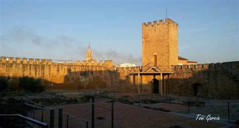 Hay mucha gente que pasa por delante de un olivo y no se para a mirarlo detalladamente, y los hay muy peculiares, sentencia, e invita: RUTAS - ESCAPADAS... Y OTRAS COSAS INTERESANTES: Pueblos ...