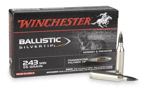 Winchester 243 Winchester 55 Grain Ballistic Silvertip 20box
