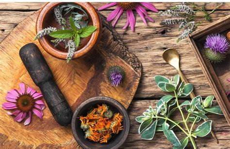 The Best Herbs For Anxiety Stress Marci Payne