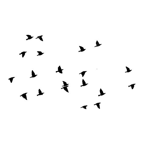 Black Flying Birds Birds Black Birds Bird Png And Vector With