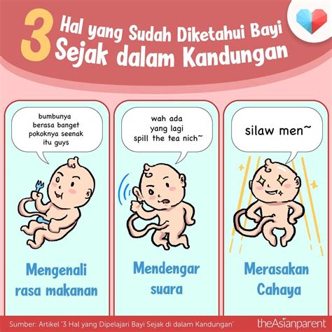 Foto Bayi Dalam Kandungan 3 Bulan