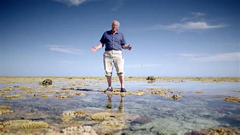 David Attenboroughs Great Barrier Reef Documentary Spurs Major Boost