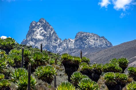 At 580,367 square kilometres, kenya is the world's 48th largest cou. Mount Kenya in Kenia: Expedition auf dem zweithöchsten ...