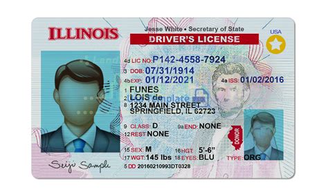 Free Printable Blank Illinois Drivers License Template Printable