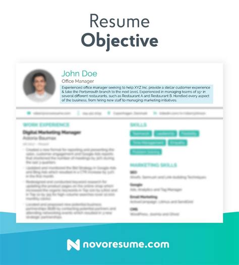 40 Real Life Resume Objective Examples In 2024 How To Guide