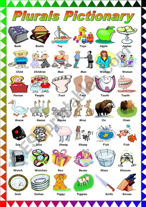 Plurals Pictionary Bandw Version Included Esl Worksheet By Katiana