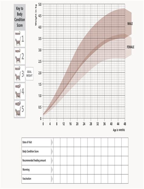 Domestic Cat Weight Chart By Age