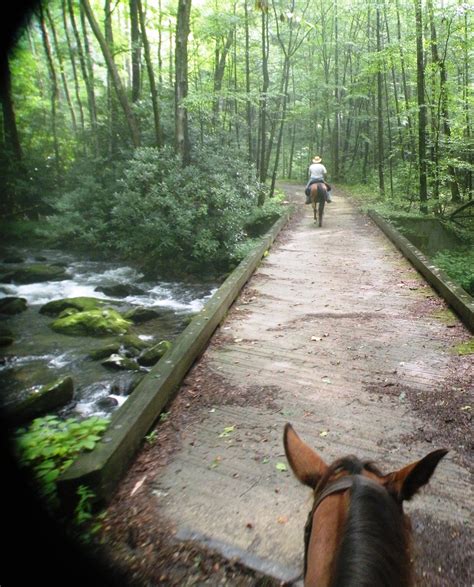 Trail Picture From Deep Creek Horse Camp Smoky Mountains Bryson City