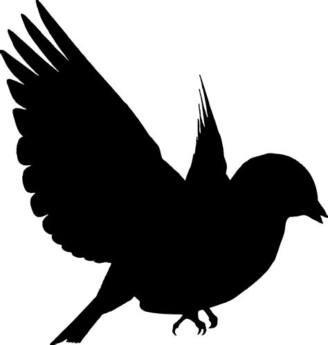 Clip Art Flying Bird Silhouette Adr Alpujarra