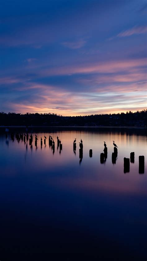 Download Wallpaper 1350x2400 Lake Sunset Silhouettes Birds Horizon