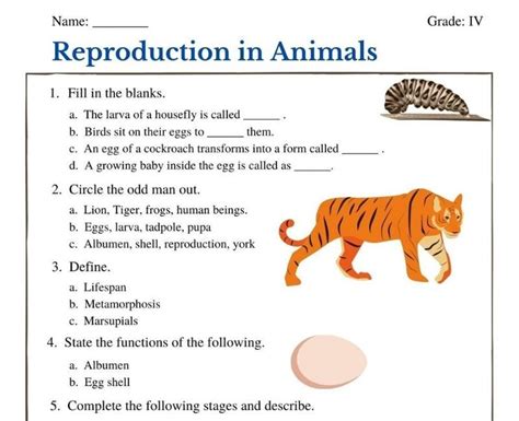 Reproduction In Animals Class 4 Worksheet Animal Worksheets