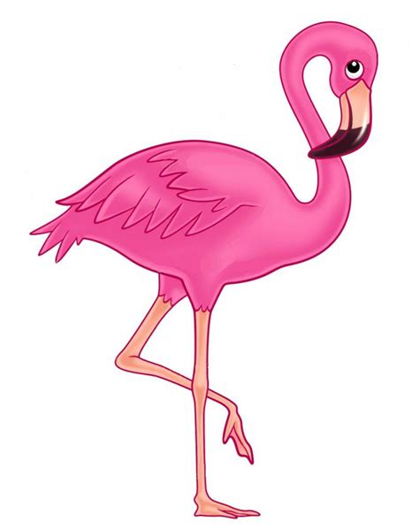 Baby Flamingo Clipart Outline Noredsouth