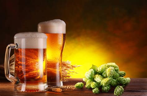 Hops Use In Beer Production Bidaj