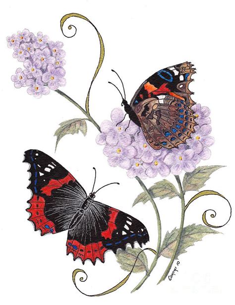 Just Living Is Not Enough Painting By Stanza Widen Butterfly Art